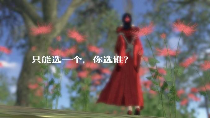 只能选一个，你选谁？