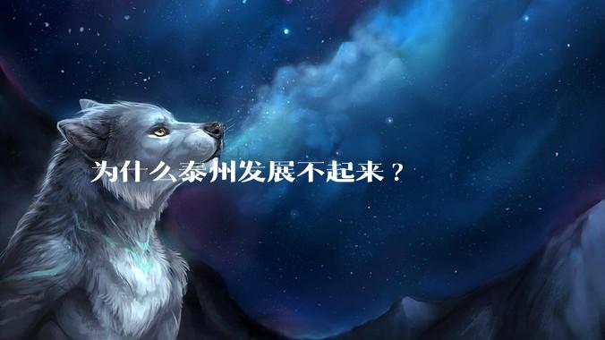 为什么泰州发展不起来?