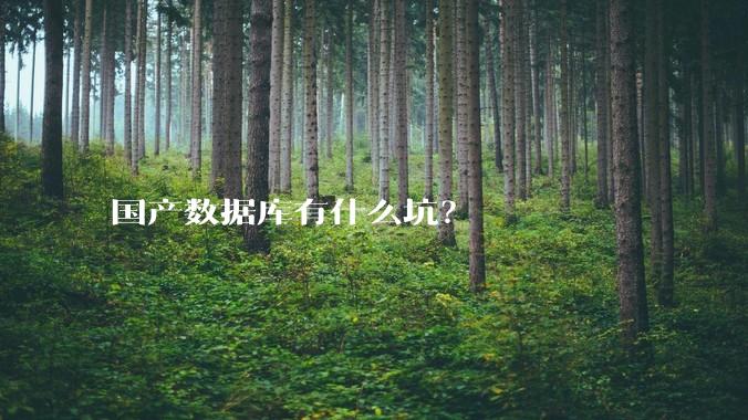 国产数据库有什么坑？