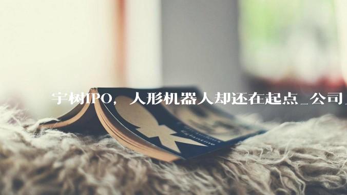 宇树IPO，人形机器人却还在起点_公司_中国_市场