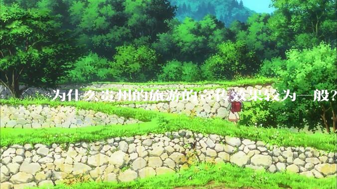 为什么贵州的旅游的宣传效果较为一般？