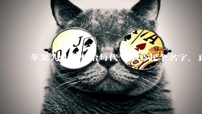 苹果为什么要给每代MacOS起个名字，真以为人们记得住分得清吗？